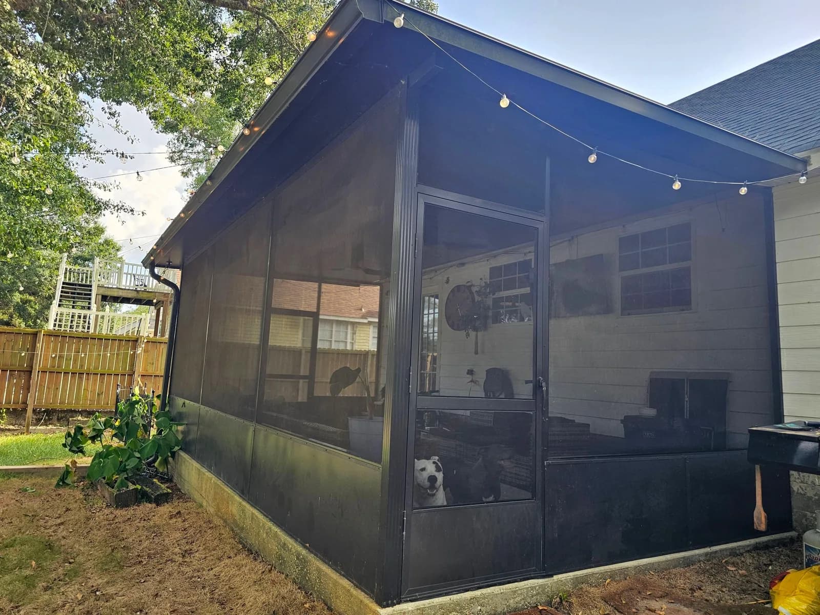 Corner of a bronze aluminum screen enclosure with a dog looking out through the screen door, Daphne AL.